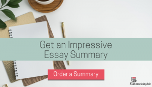 summarize an essay online