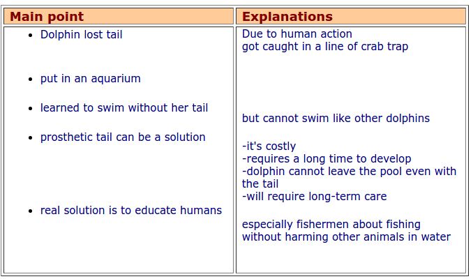 summarizing strategy